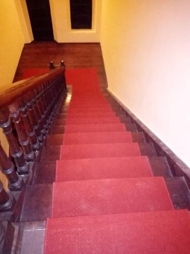 Alfombra roja en rollo para escaleras y pasillos